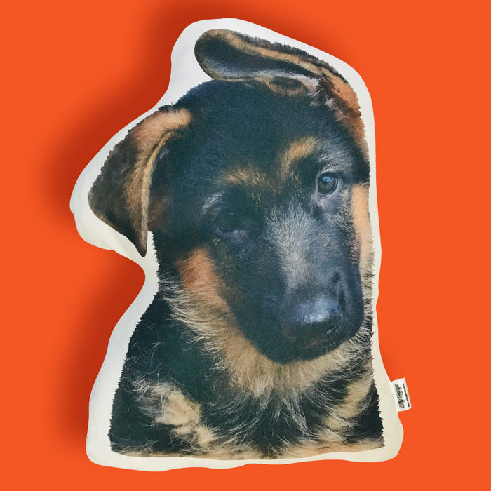 Silly George photo pillows