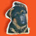 Silly George photo pillows